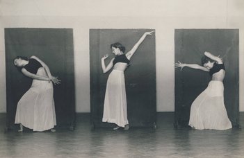 The role of the market in the professionalisation of Hungarian and German moving arts